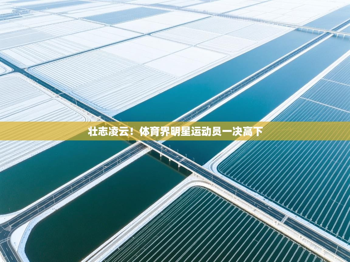 壮志凌云！体育界明星运动员一决高下  第1张