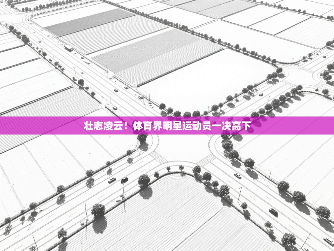 壮志凌云！体育界明星运动员一决高下  第2张