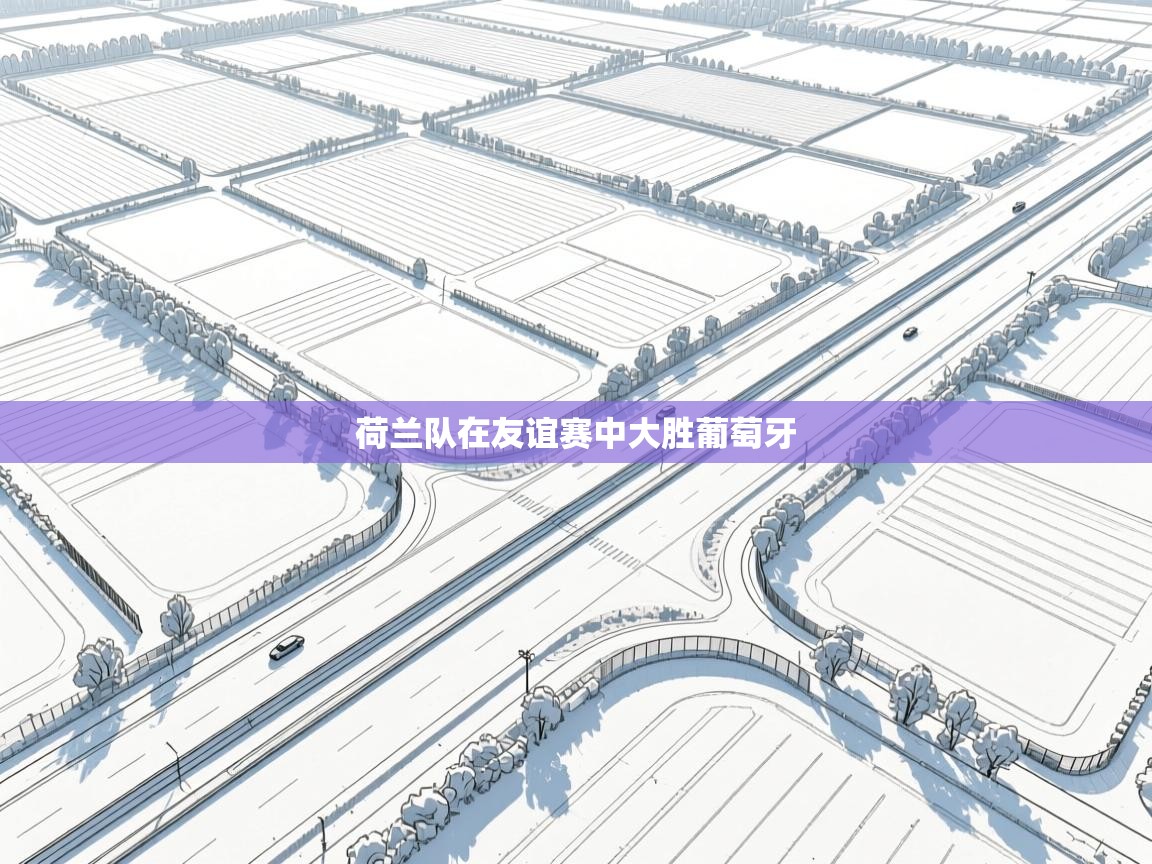 荷兰队在友谊赛中大胜葡萄牙  第1张