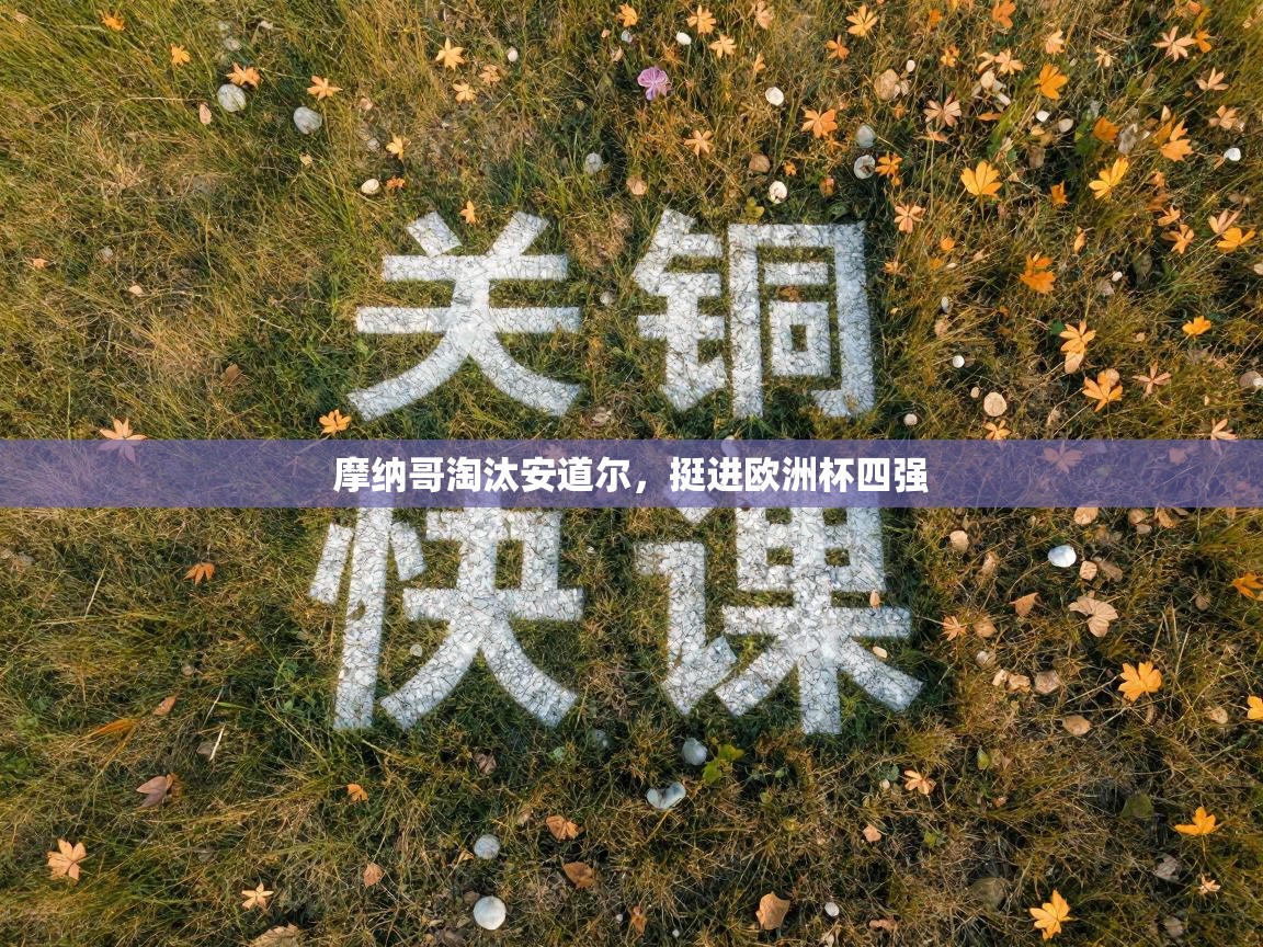 摩纳哥淘汰安道尔，挺进欧洲杯四强  第2张