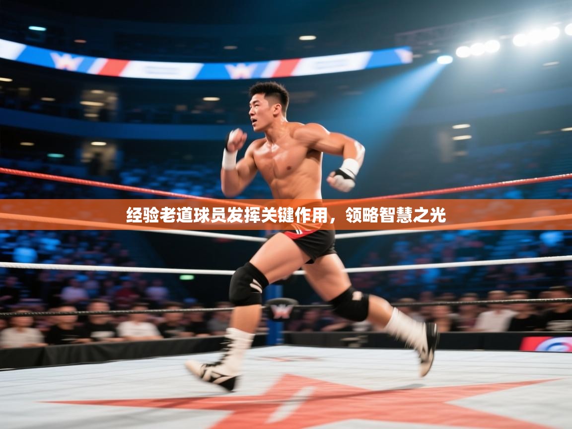 经验老道球员发挥关键作用,领略智慧之光 第1张