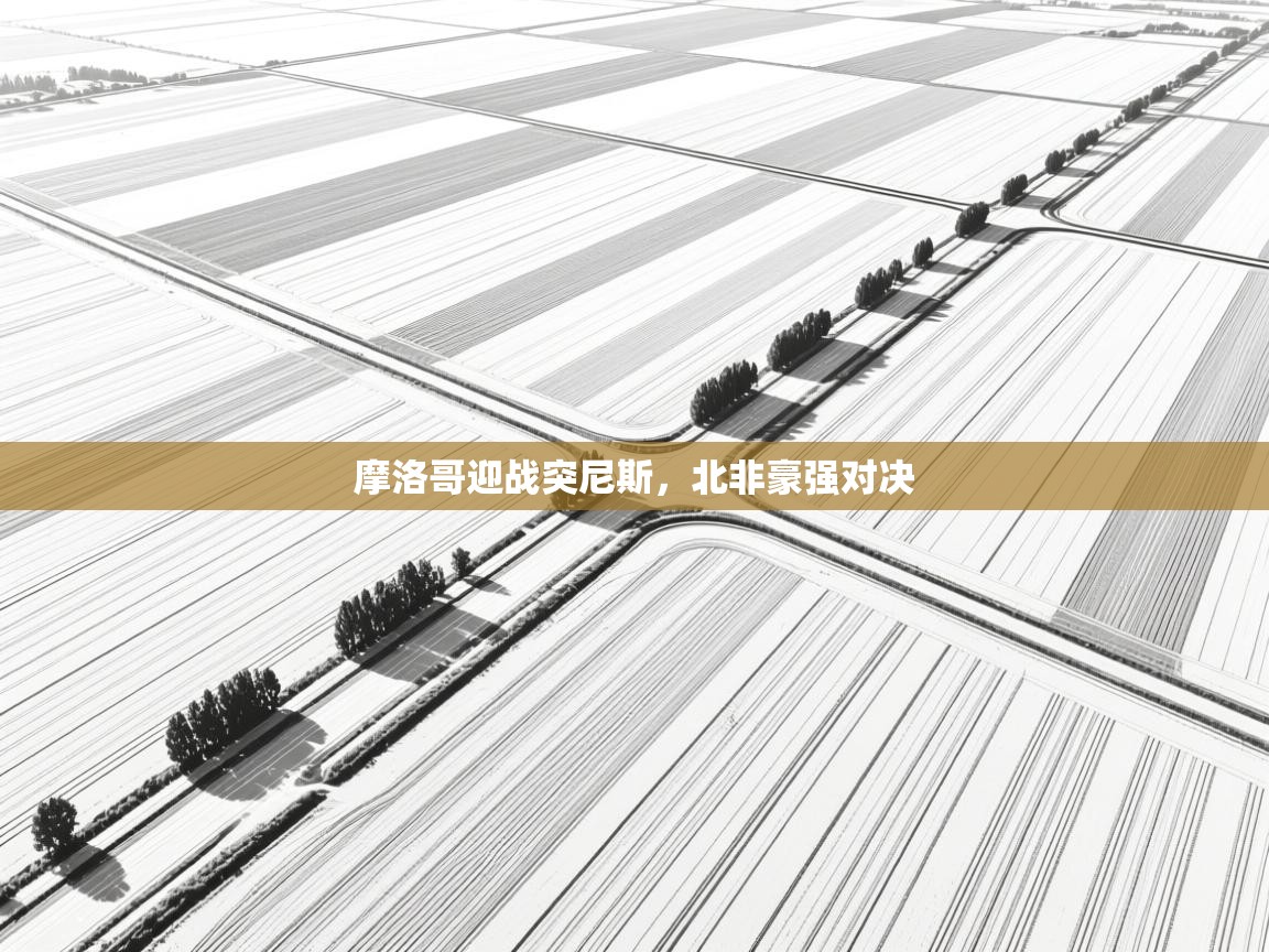 摩洛哥迎战突尼斯，北非豪强对决  第2张