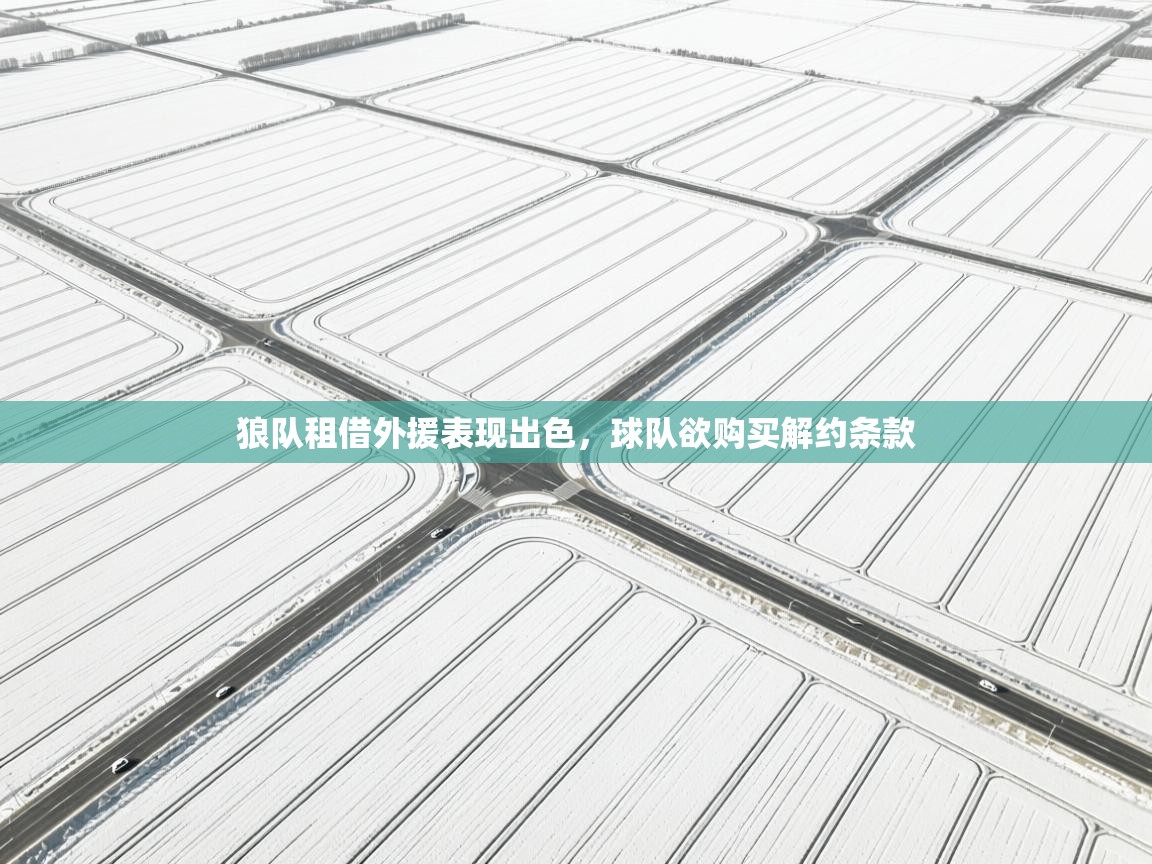 狼队租借外援表现出色,球队欲购买解约条款 第1张