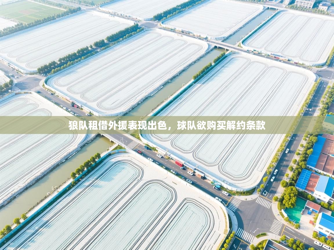 狼队租借外援表现出色,球队欲购买解约条款 第2张