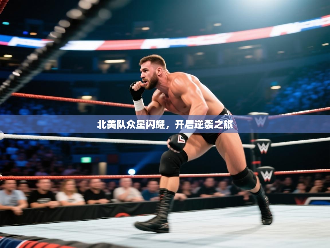 北美队众星闪耀,开启逆袭之旅 第2张