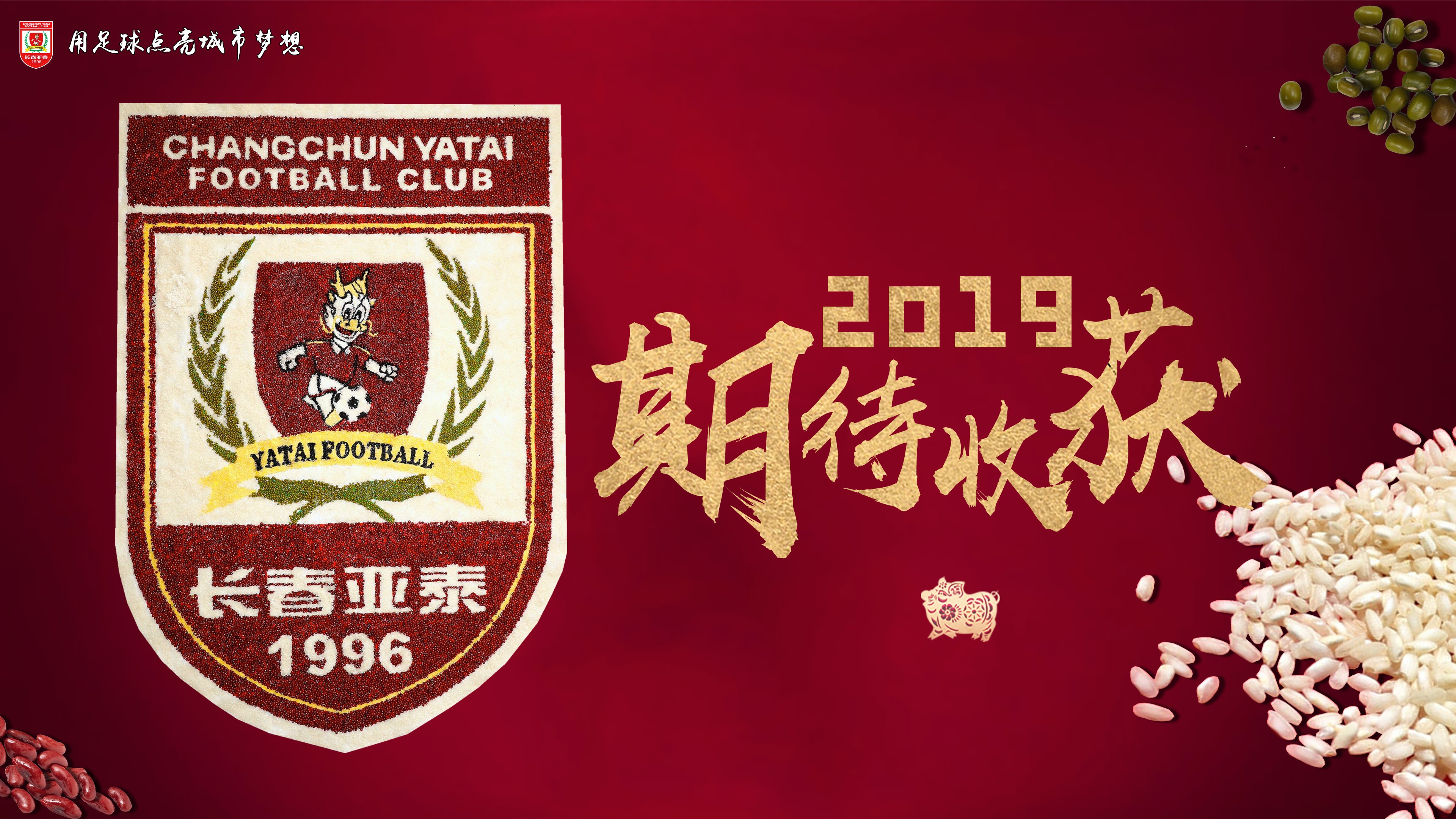 泰国足球队将成为亚洲杯黑马